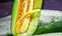 网红吃绿色瓜,吃出健康新风尚