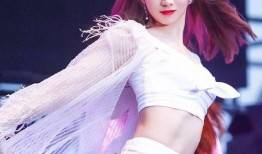 小刘爆料张珊珊视频,小刘曝光张珊珊私密视频引发热议